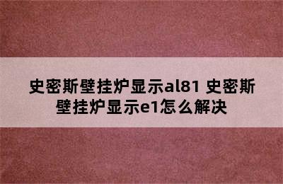 史密斯壁挂炉显示al81 史密斯壁挂炉显示e1怎么解决